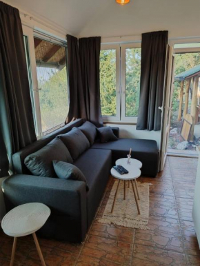 Apartman Ramonda Banja Koviljača